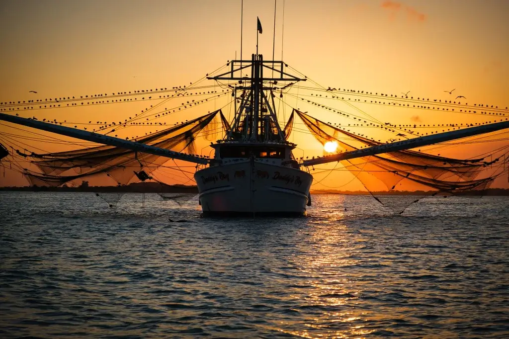 Shrimp boat