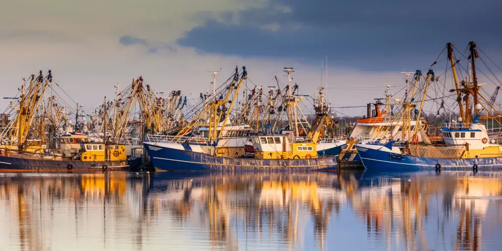 fishing boats moored in a reflective harbor
